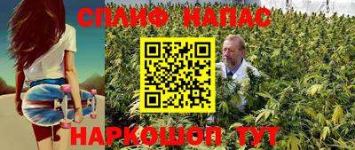 mdpv Новокубанск