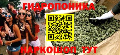 стаф Нальчик